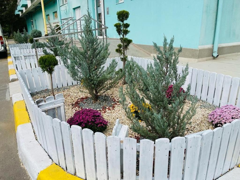 Maria Summer Apartaments Mamaia Dış mekan fotoğraf